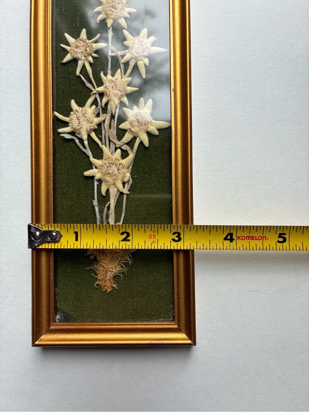 Vintage Moody Botanical Pressed Floral Framed Small Wall Art - Picture 4 of 4